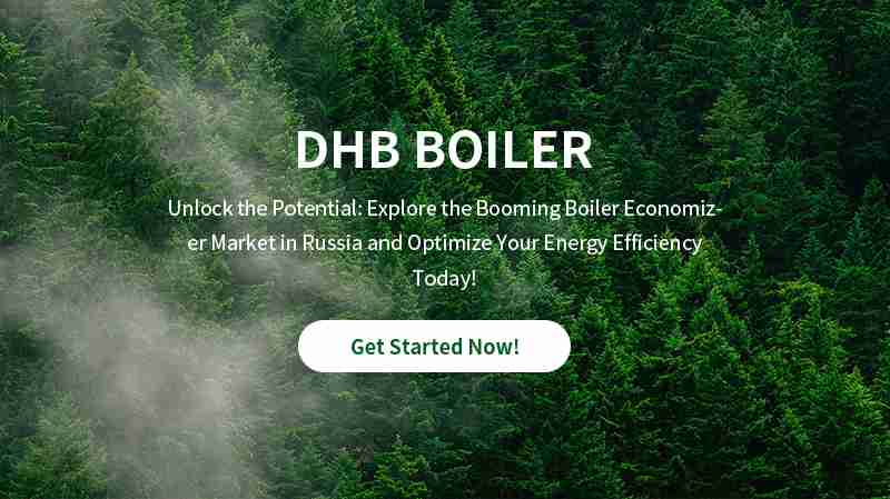 Boiler economizer