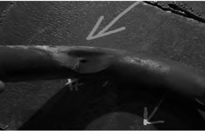 Analyzing the Causes and Countermeasures of Water-Cooled Wall Leakage in Boilers 1-Biomass Boiler Water-Cooled Wall