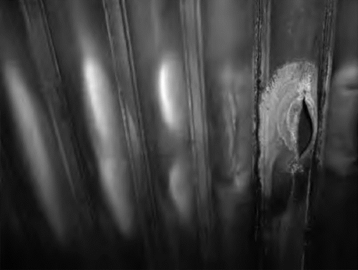 Analyzing the Causes and Countermeasures of Water-Cooled Wall Leakage in Boilers 3-Biomass Boiler Water-Cooled Wall