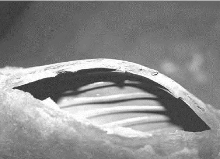 Analyzing the Causes and Countermeasures of Water-Cooled Wall Leakage in Boilers 5-Biomass Boiler Water-Cooled Wall